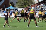 IMG_6170.jpg