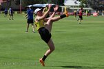 IMG_6217.jpg