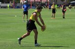 IMG_6233.jpg