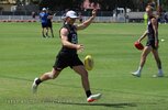 IMG_6242.jpg