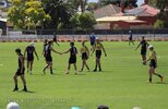 IMG_6271.jpg