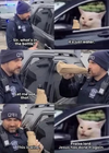 1766302803917.png