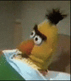 IMG_4782.gif