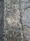 IMG_1576.jpeg