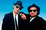 bluesbrothers2.jpg