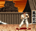 street-fighter-street-fighter-ii.gif