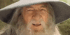 image.gif