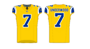 ALT-2-JERSEY.png