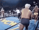 ric-flair-wrestling.gif