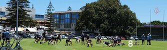 20260114_114720.jpg