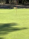 IMG_7006.jpeg