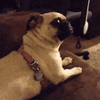 careta-meme.gif