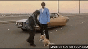 dog-angry-2.gif