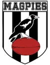 Magpie logo s.webp