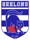 Geelong Shield s.webp