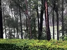 IMG_5070.webp