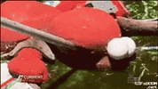 elmo-wasted.gif