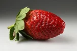 1771584265557.webp
