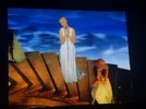 IMG_0684.webp