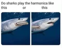 FB_IMG_1759813382232.webp