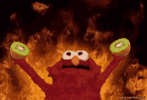 chaos-elmo.gif