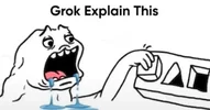 Grok.webp