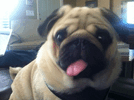 c5d2941a76dce99ded296eac9de7fddf.gif
