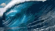 IMG_8232.gif