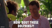 IMG_8233.gif