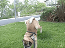 d5d0b3d7033a19658cf4436a6a0d9a73.gif