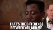8ec503fa-98a2-40c7-bce9-14f3a505dccf_text.gif