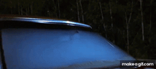 IMG_7315.gif