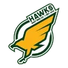 hawksS37.webp