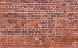 brickwall.webp