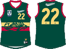 Tasmania-2026-VFL.gif
