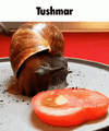 10984.gif