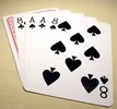 1774305204266.webp
