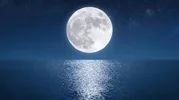images(96).webp