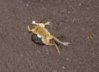 upload_2016-3-23_15-51-26.jpeg