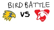 bird battle.webp