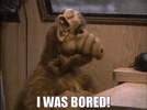 alf-i-was-bored.gif