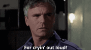 cryingoutloud.gif