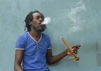 injamaicasma.webp