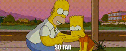 1775952977316.gif