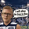 Geelong Cats fan in action.webp