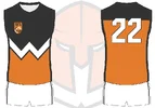 2Warriors.webp
