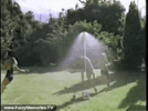 80s-80s-summer.gif