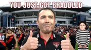 braddled.webp