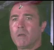 Brad Scott Fly.webp