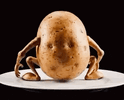 spud1.gif